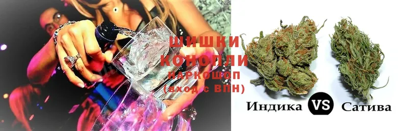 Бошки марихуана SATIVA & INDICA  купить   Каргат 